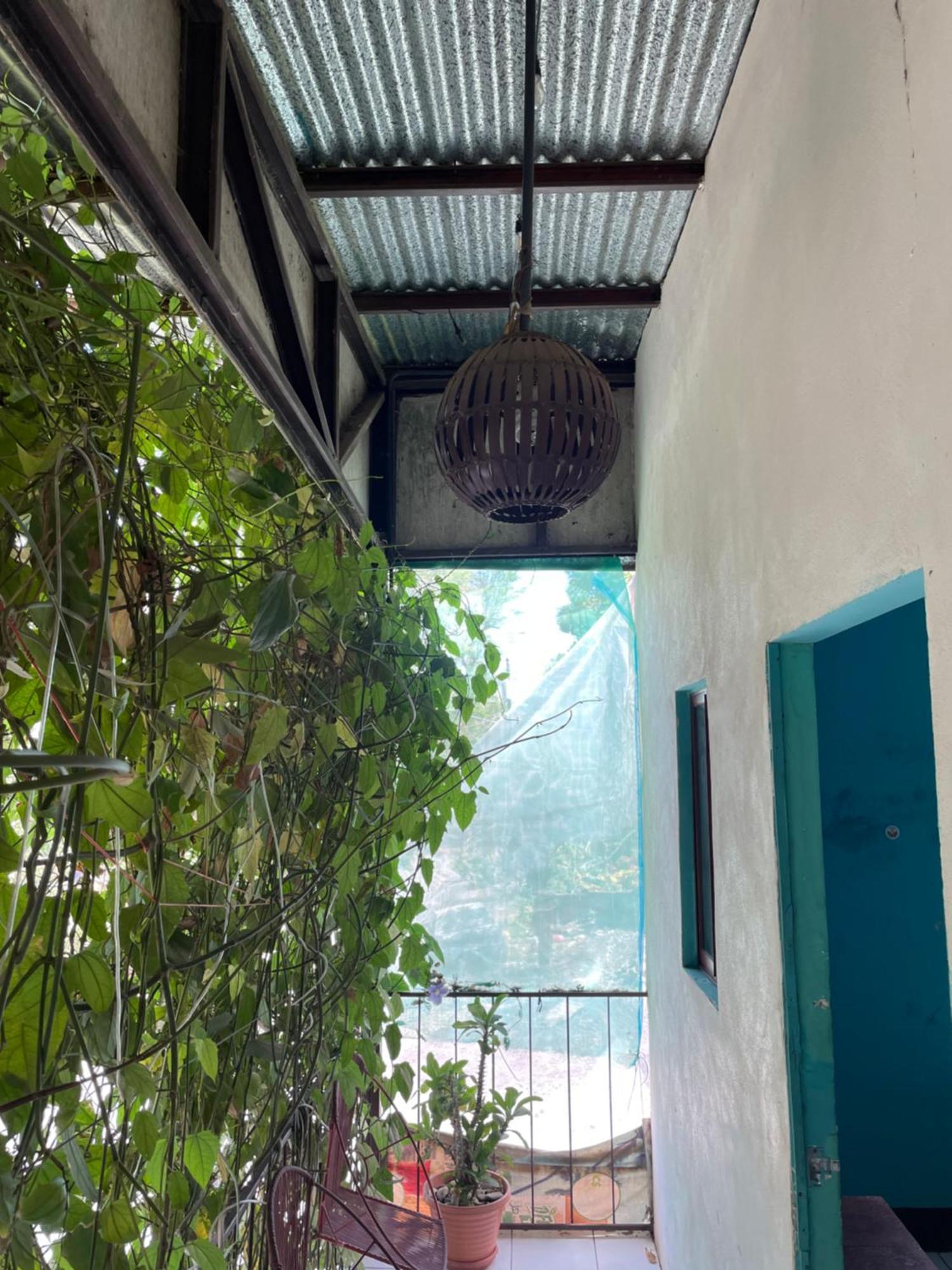 Hostal Isla Natal Moyogalpa Kültér fotó