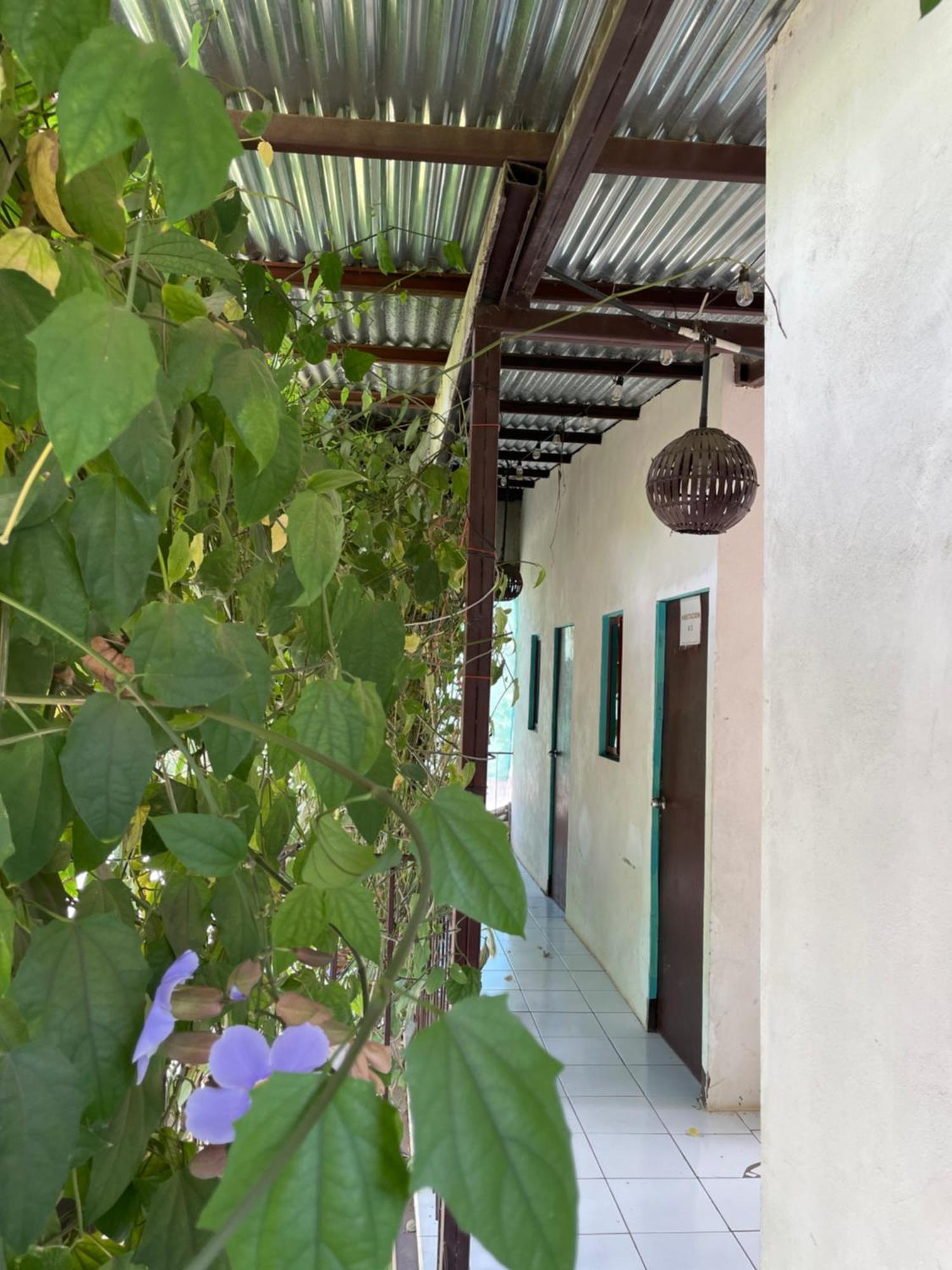 Hostal Isla Natal Moyogalpa Kültér fotó